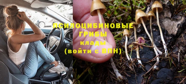 первитин Горняк
