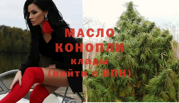 первитин Горняк