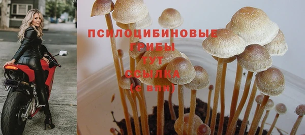 первитин Горняк