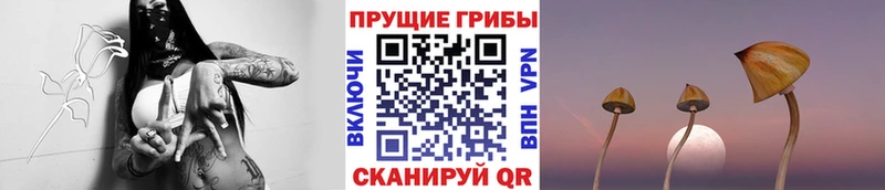 Галлюциногенные грибы GOLDEN TEACHER  Купить закладки  Ивдель 